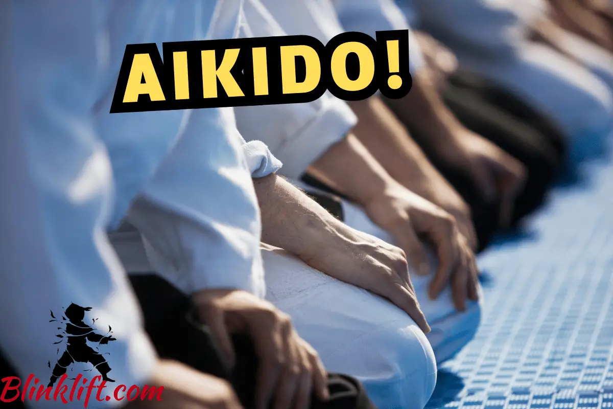 Should you learn Aikido?